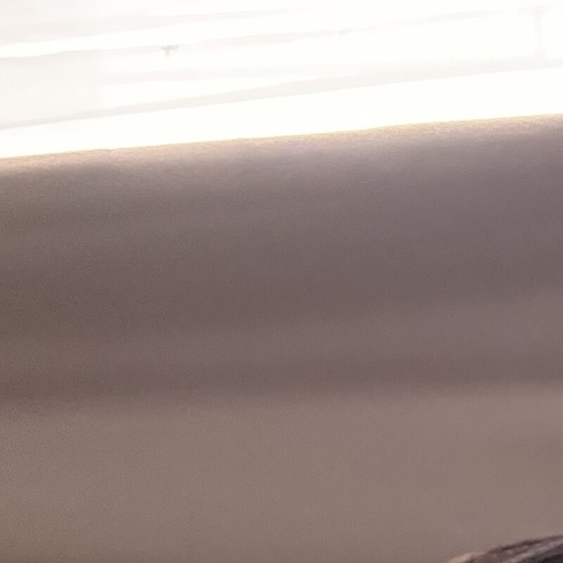 Profile picture of Danica
